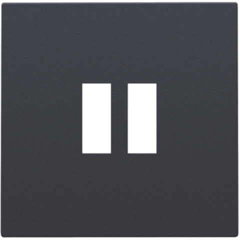 Enjoliveur pour chargeur USB - Double - Anthracite - Niko