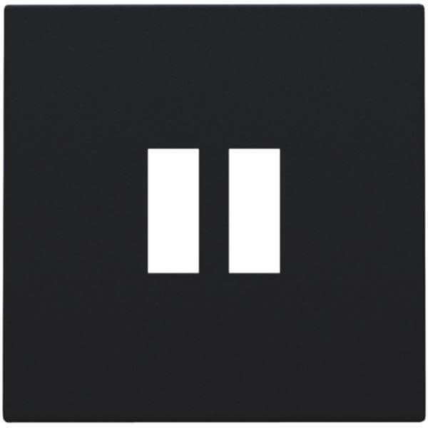 Afwerkingsplaatje voor USB-lader - Dubbel - Black Coated - Niko