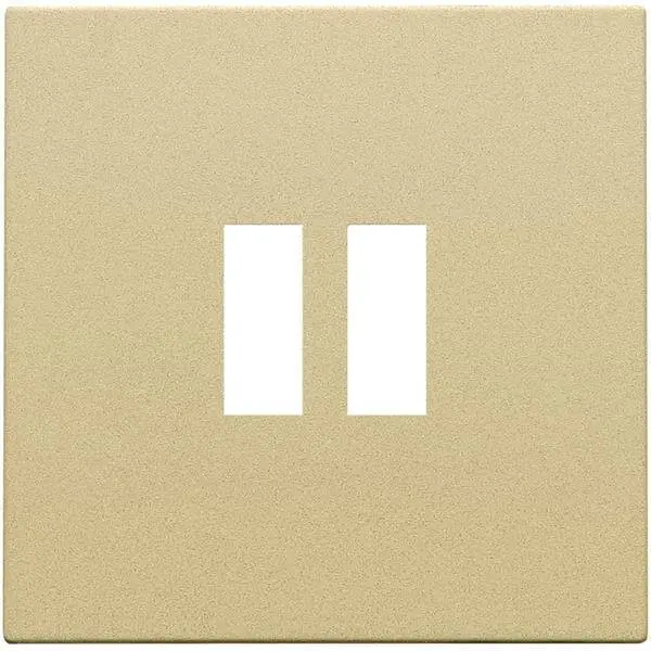 Afwerkingsplaatje voor USB-lader - Dubbel - Gold Coated - Niko