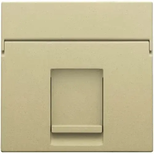 Afwerkingsplaatje voor computeraansluiting RJ45 - Enkel - Gold coated - Niko
