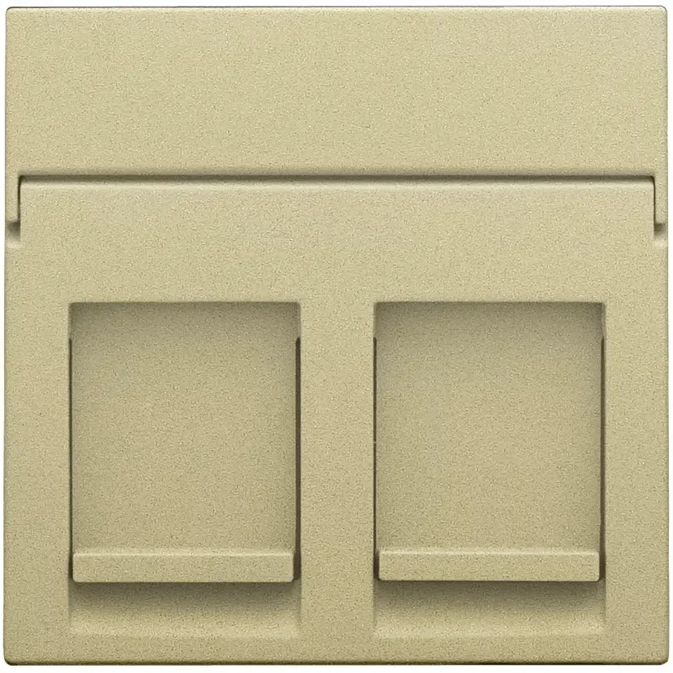 Afwerkingsplaatje voor computeraansluiting RJ45 - Dubbel - Gold coated - Niko