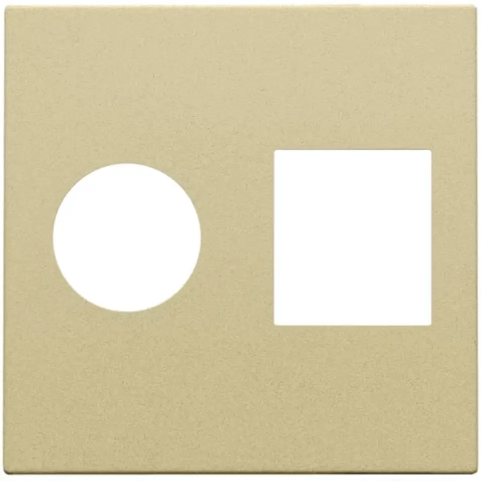 Afwerkingsplaatje voor TV/RJ45-aansluiting - Gold coated - Niko