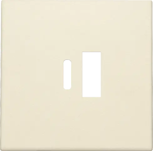 Enjoliveur pour chargeur USB A + USB C - Crème - Niko