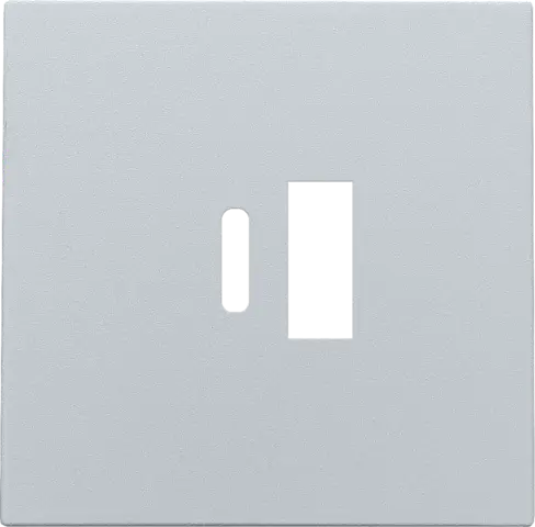 Afwerkingsplaatje voor USB A + USB C-lader - Sterling coated - Niko