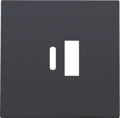 Enjoliveur pour chargeur USB A + USB C - Anthracite coated - Niko