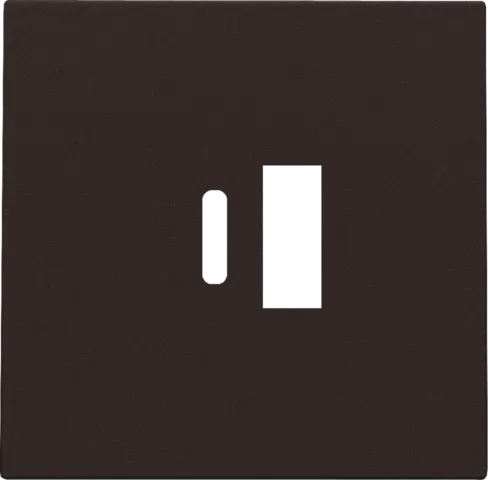 Afwerkingsplaatje voor USB A + USB C-lader - Brown coated - Niko