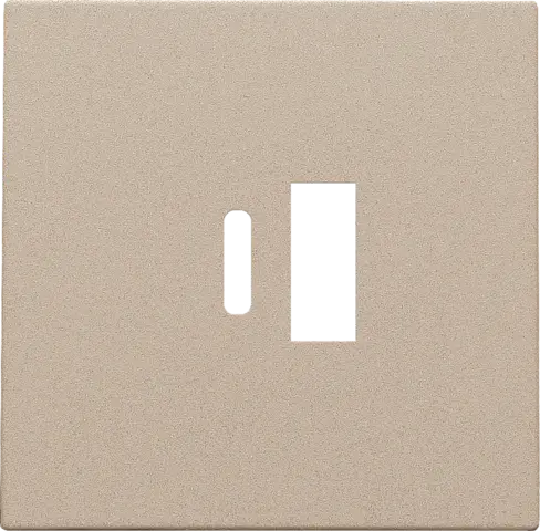 Enjoliveur pour chargeur USB A + USB C - Champagne coated - Niko