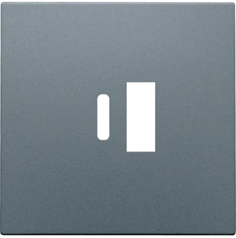 Afwerkingsplaatje voor USB A + USB C-lader - Blue grey coated - Niko