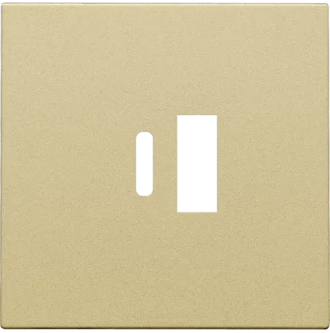 Afwerkingsplaatje voor USB A + USB C-lader - Gold coated - Niko