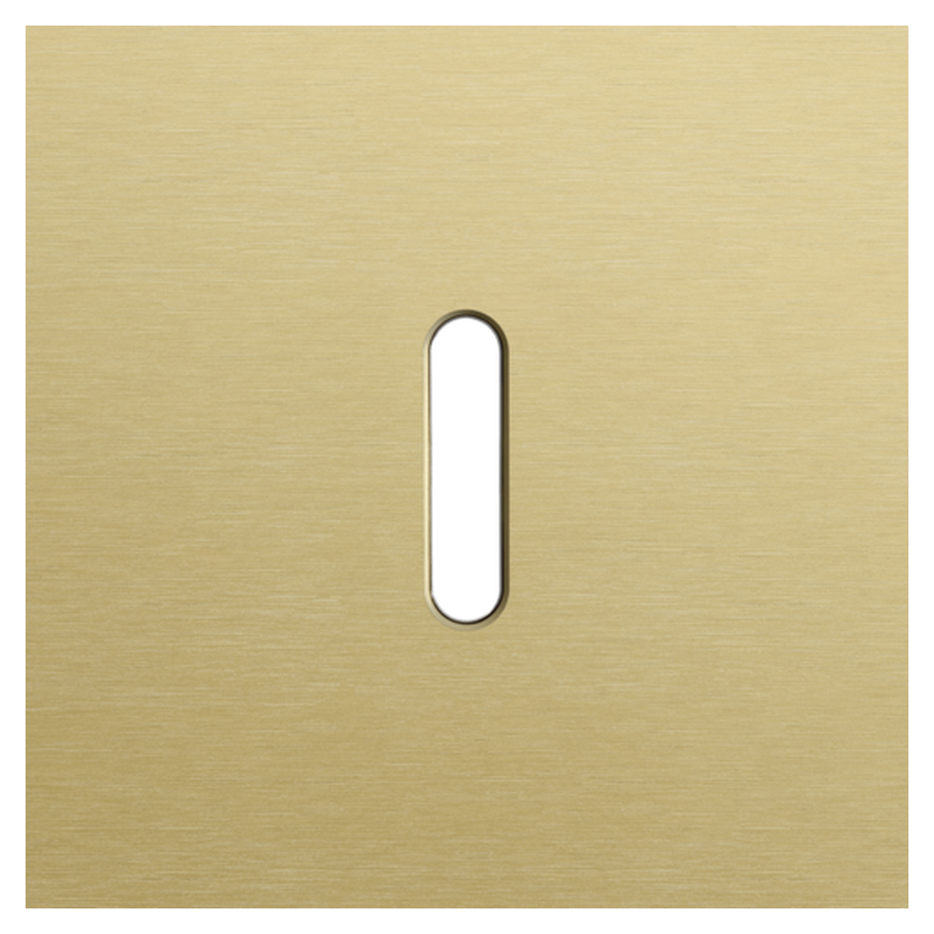 [NIK227-56101] Plaque simple - Rocker Gold - Niko