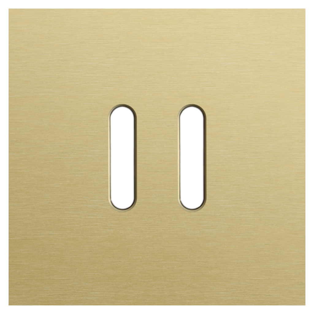 [NIK227-56102] Plaque simple double allumage - Rocker Gold - Niko