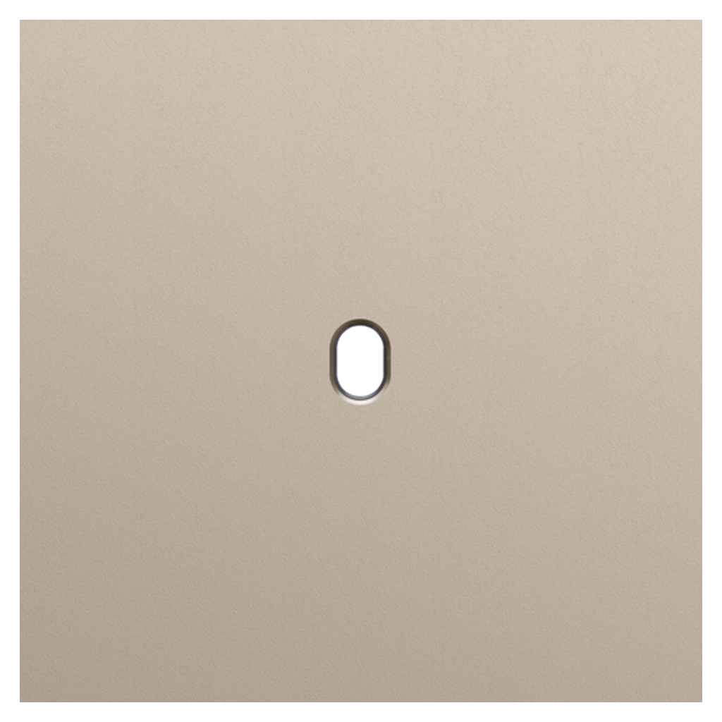 [NIK166-57101] Plaque simple - Toggle Champagne - Niko
