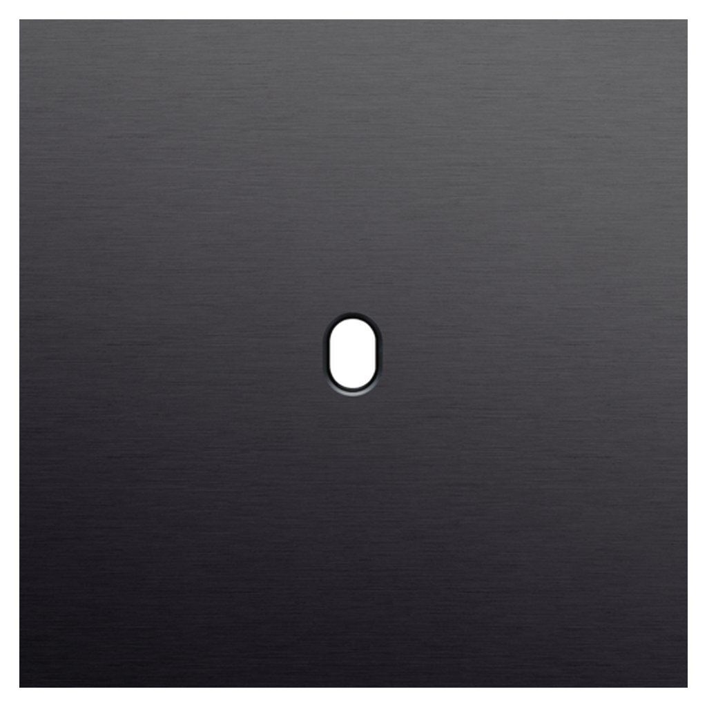 [NIK224-57101] Plaque simple - Toggle Black - Niko