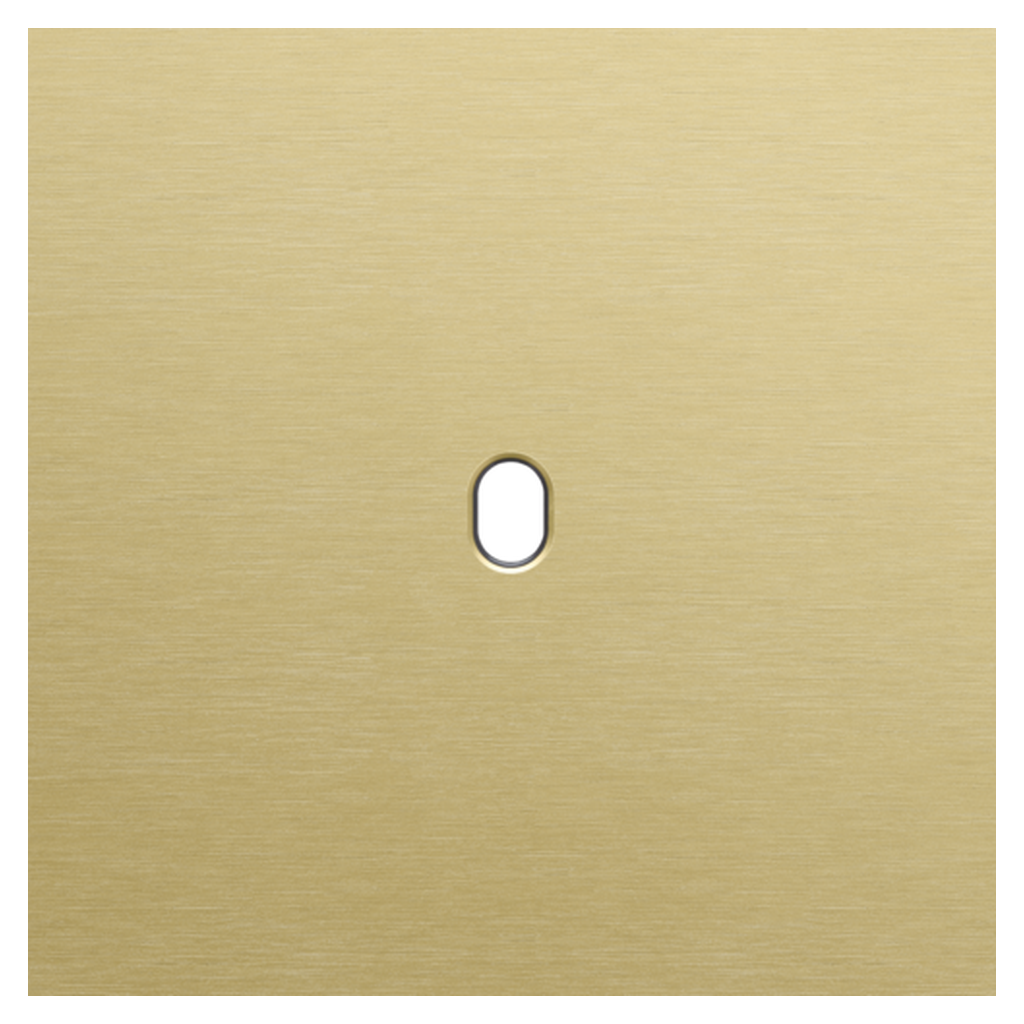 [NIK227-57101] Plaque simple - Toggle Gold - Niko