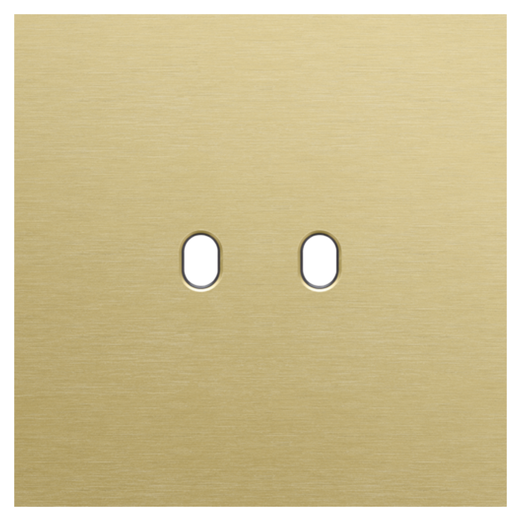 [NIK227-57102] Plaque simple double allumage - Toggle Gold - Niko