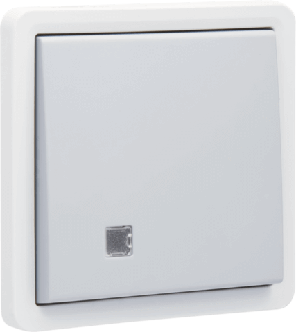 [NIK700-37205] Interrupteur bipolaire à témoin Hydro - Quick Connect - Gris - IP55 -10A - 250V - Niko