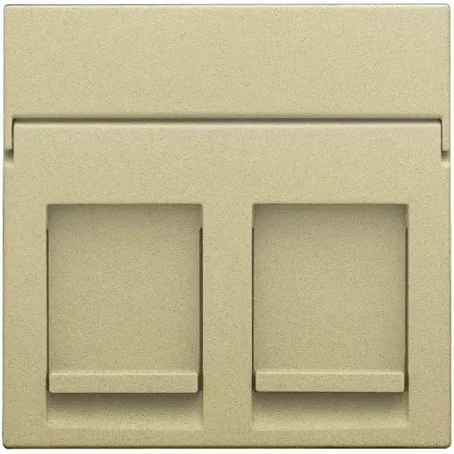 [NIK221-65200] Enjoliveur pour prise informatique RJ45 - Double - Gold coated - Niko