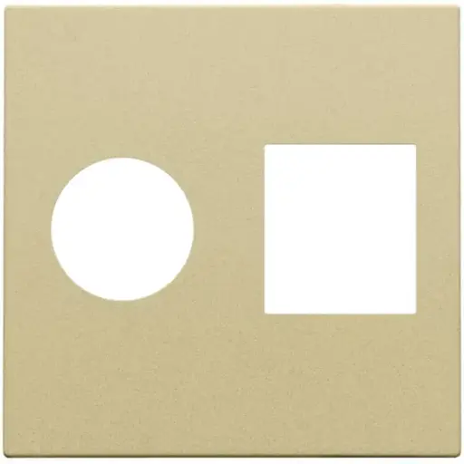 [NIK221-65702] Enjoliveur pour prise TV/RJ45 - Gold coated - Niko