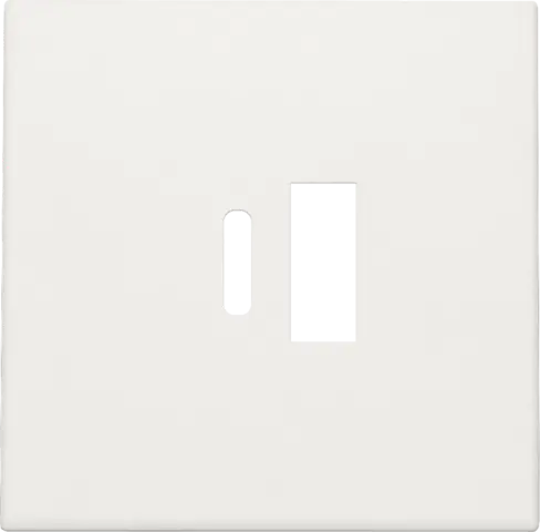 [NIK101-68002] Enjoliveur pour chargeur USB A + USB C - Blanc - Niko