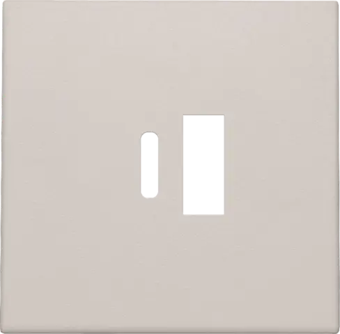 [NIK102-68002] Enjoliveur pour chargeur USB A + USB C - Light grey - Niko