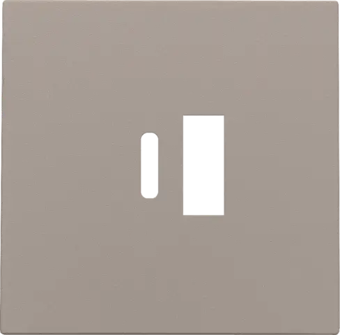 [NIK123-68002] Enjoliveur pour chargeur USB A + USB C - Bronze coated - Niko