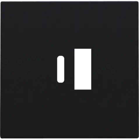 [NIK161-68002] Enjoliveur pour chargeur USB A + USB C - Black coated - Niko