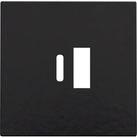 [NIK200-68002] Enjoliveur pour chargeur USB A + USB C - Piano black coated - Niko